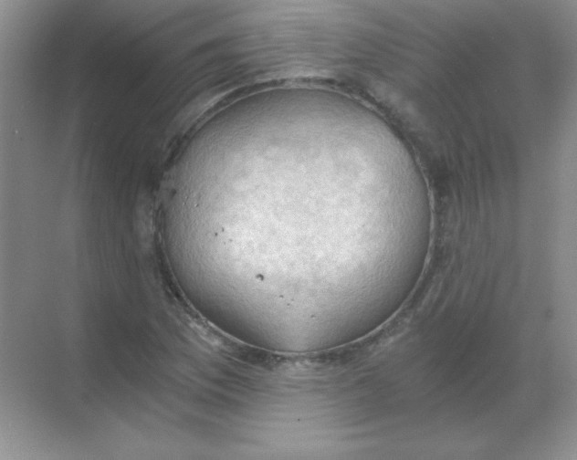 X0000068851169200605191944