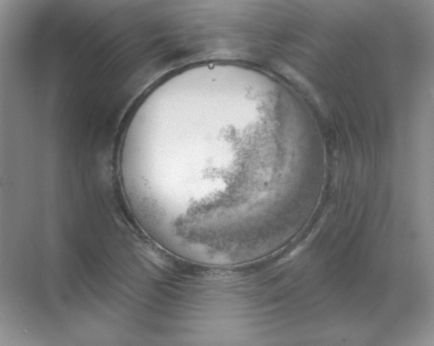 X0000068851170200605191944