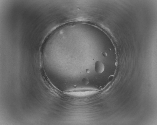 X0000068851171200605191944