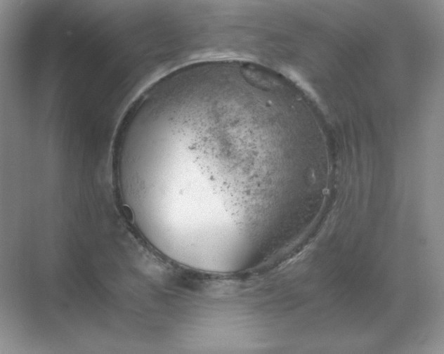 X0000068851173200605191944