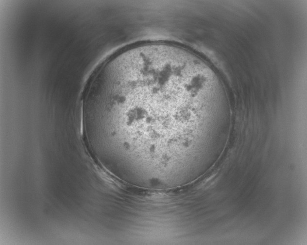 X0000068851175200605191944