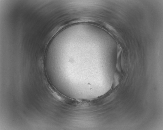 X0000068851177200605191943