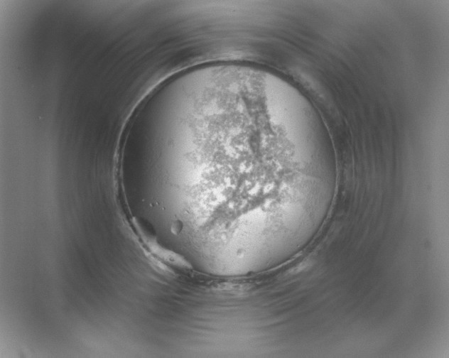 X0000068851178200605191943