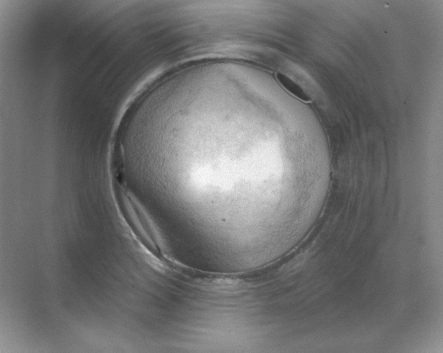 X0000068851180200605191943