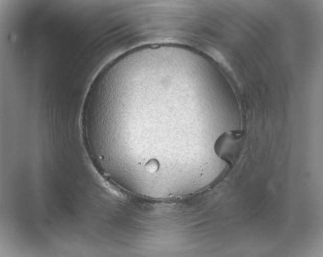 X0000068851181200605191943