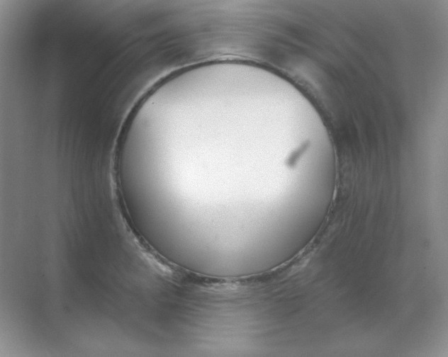 X0000068851182200605191943