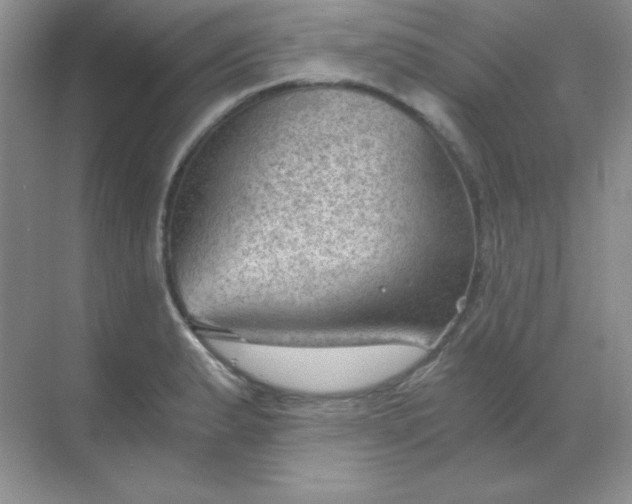 X0000068851183200605191943