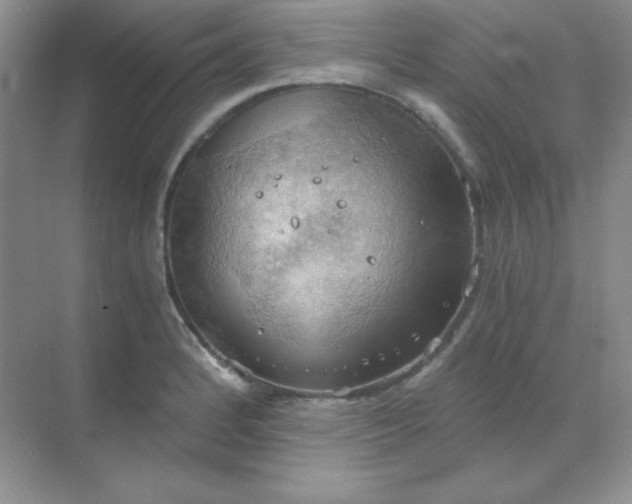 X0000068851184200605191943