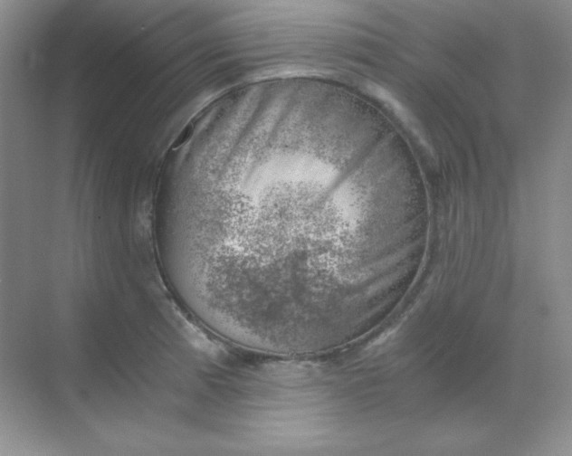 X0000068851185200605191943