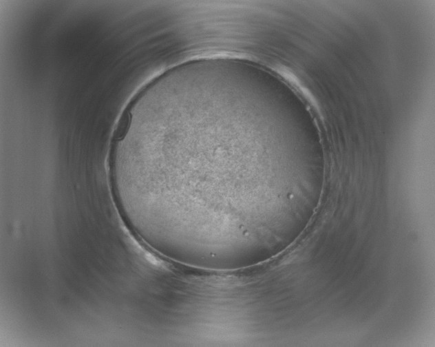 X0000068851189200605191943