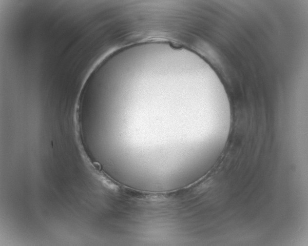 X0000068851190200605191943