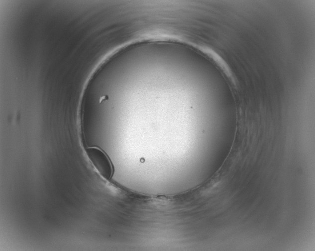 X0000068851191200605191943