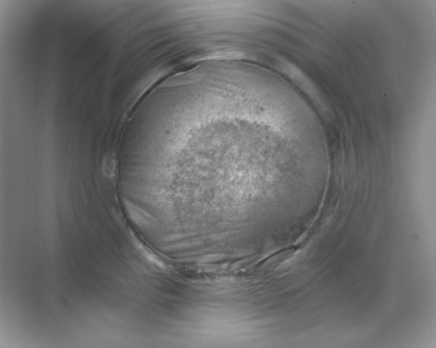 X0000068851193200605191943