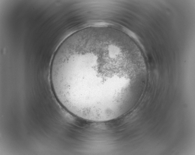 X0000068851194200605191943