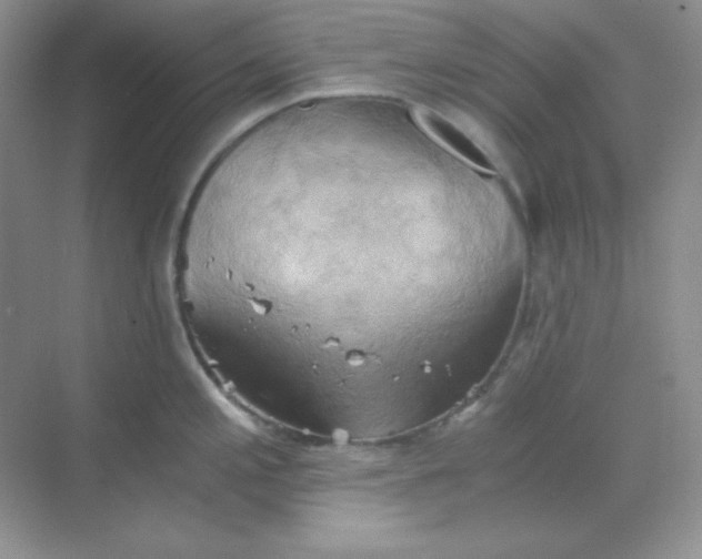 X0000068851197200605191943