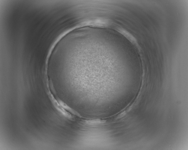 X0000068851200200605191943