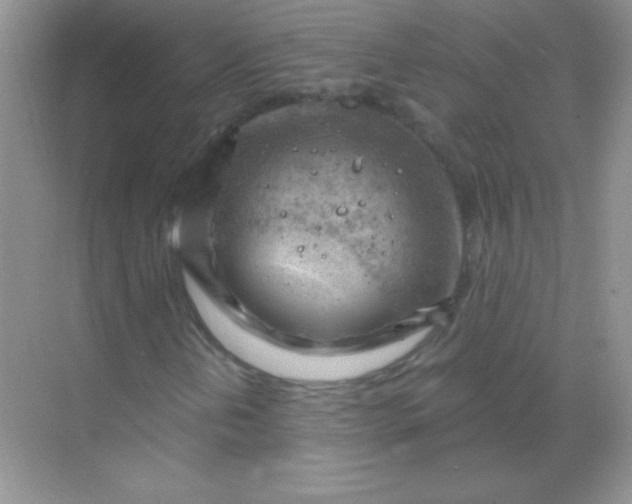 X0000068851202200605191942