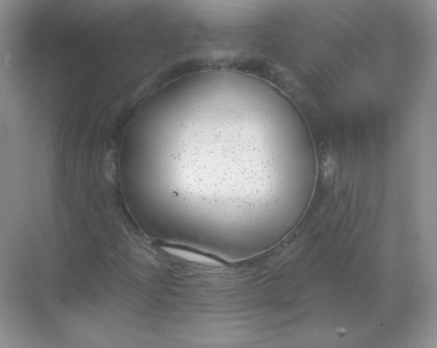 X0000068851204200605191942