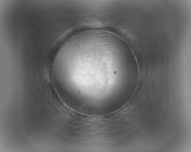 X0000068851205200605191942