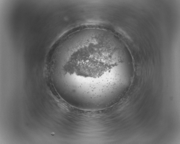 X0000068851208200605191942