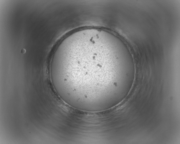 X0000068851215200605191942