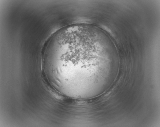 X0000068851219200605191943