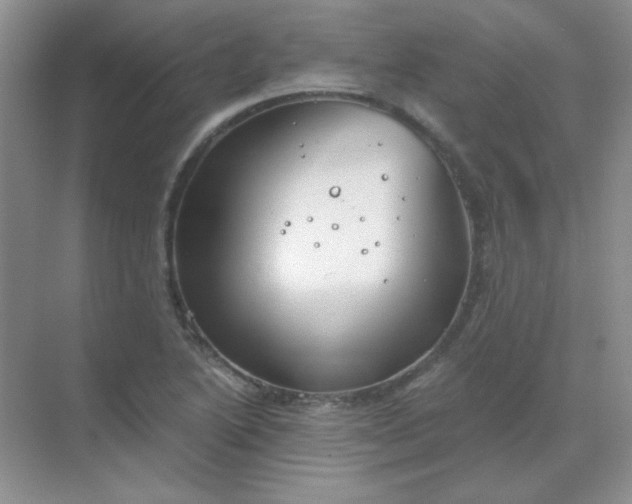 X0000068851222200605191943