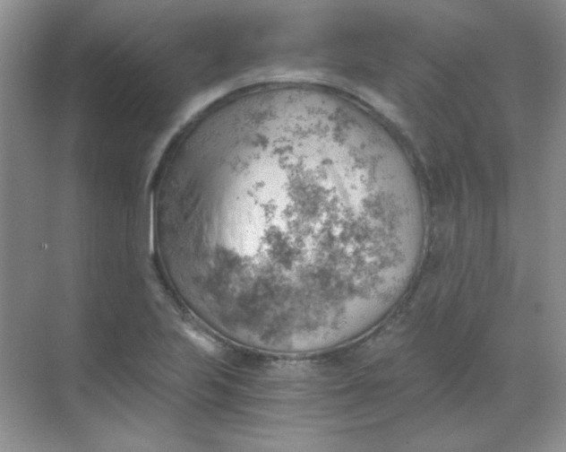 X0000068851223200605191943