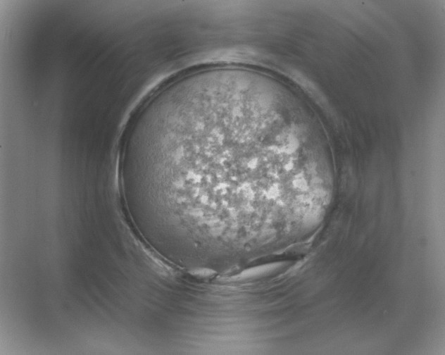 X0000068851224200605191943