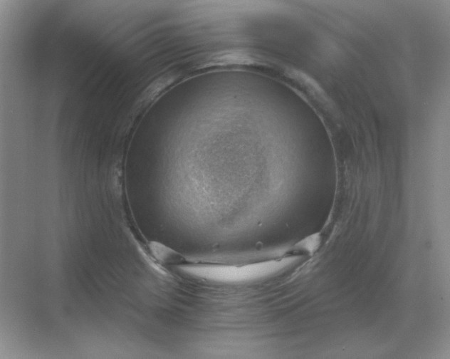 X0000068851225200605191943