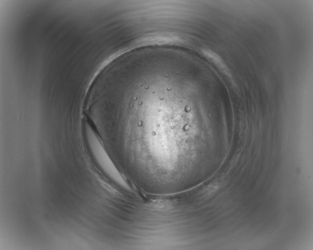 X0000068851226200605191943