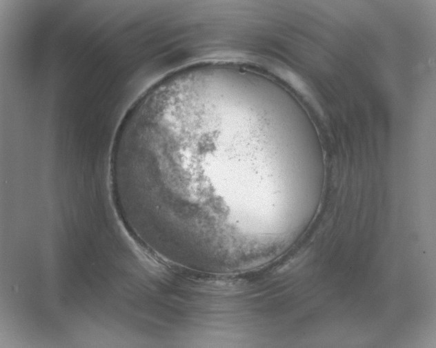 X0000068851229200605191943