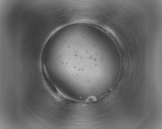 X0000068851230200605191943