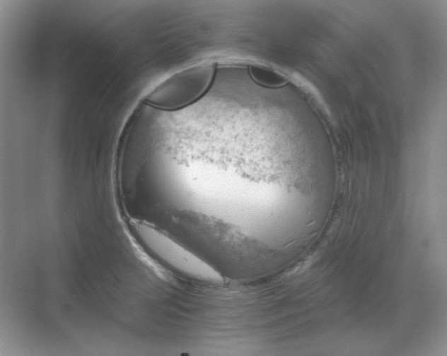 X0000068851231200605191943