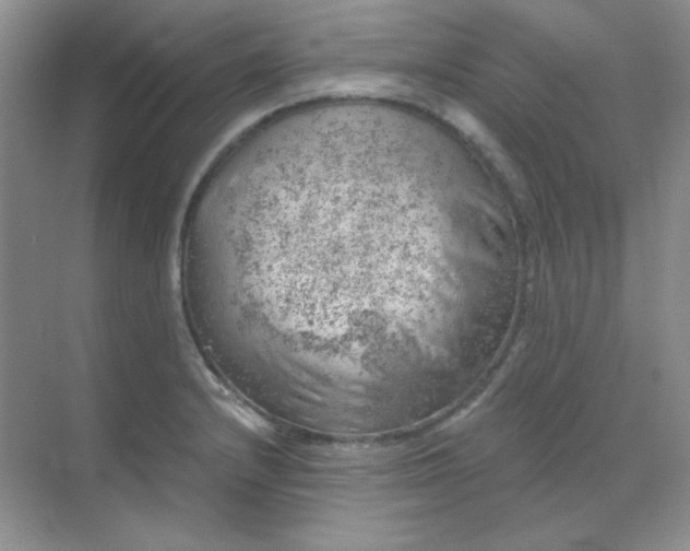 X0000068851232200605191943