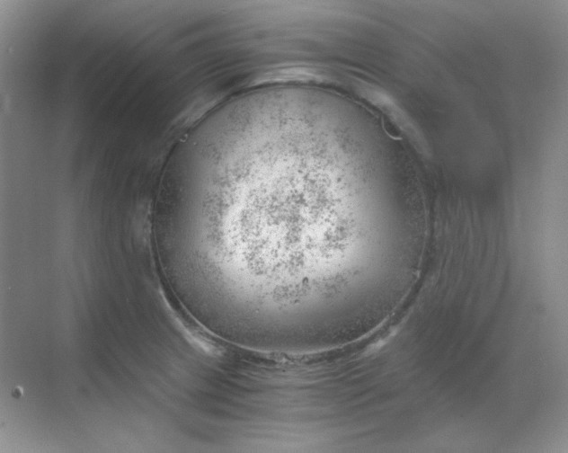 X0000068851233200605191943