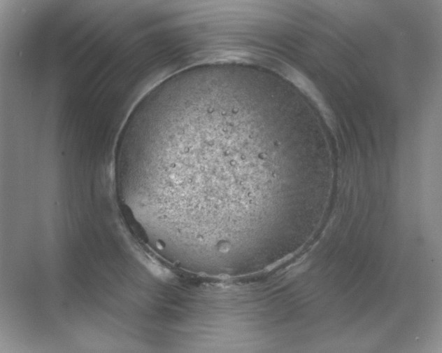 X0000068851234200605191943