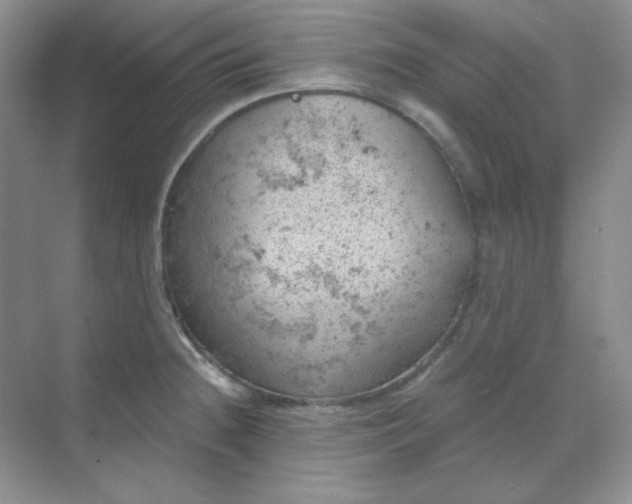 X0000068851236200605191943