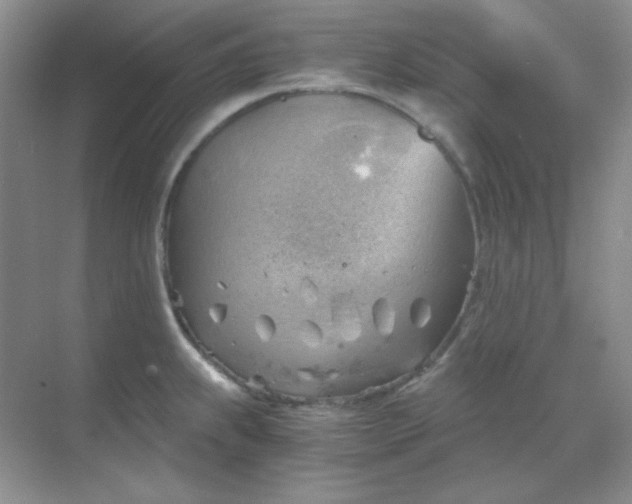 X0000068851239200605191943