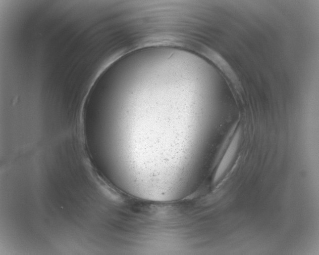 X0000068851242200605191943