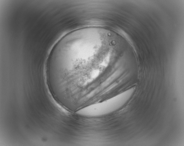 X0000068851243200605191943