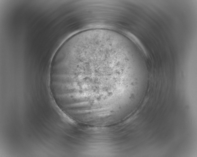 X0000068851244200605191943