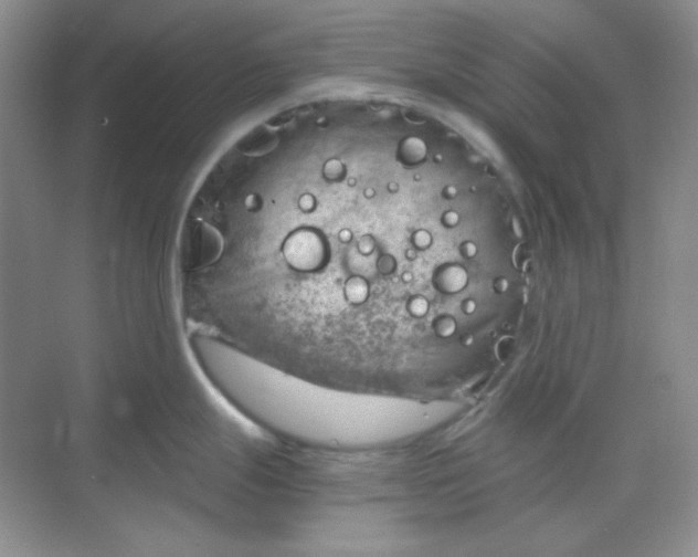 X0000068851247200605191943