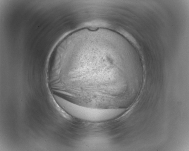 X0000068851248200605191943