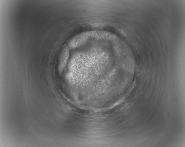 X0000068851249200605191942