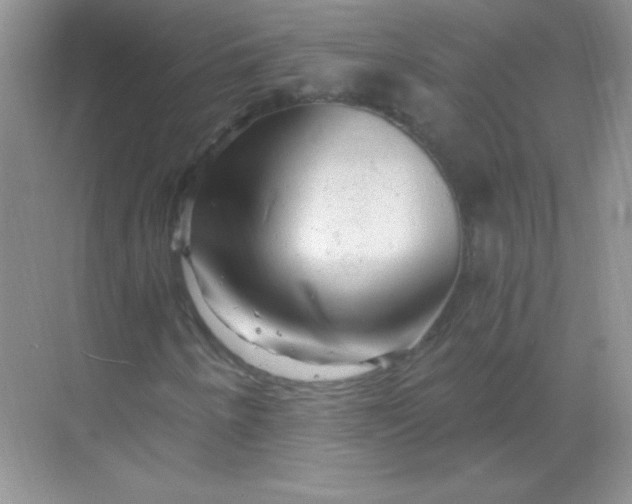 X0000068851250200605191942