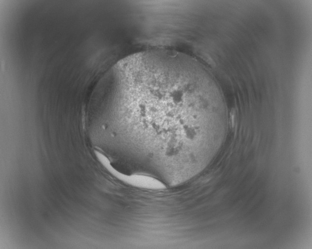 X0000068851251200605191942