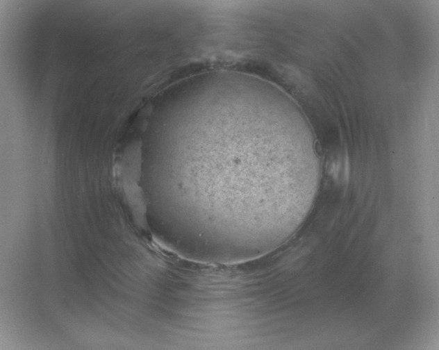 X0000068851252200605191942