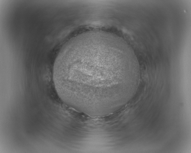 X0000068851253200605191942