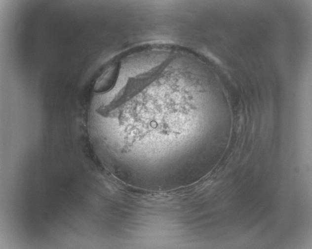 X0000068851255200605191942